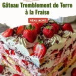 Gâteau Tremblement de Terre à la Fraise avec une texture irrésistible