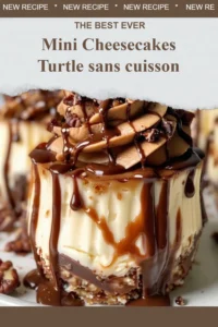 Mini cheesecakes turtles sans cuisson, un dessert gourmand et facile à préparer