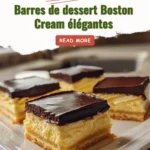 Gâteau au fromage allemand au chocolat sans cuisson