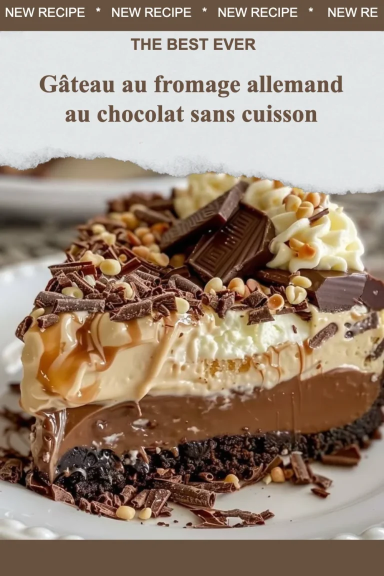 Gâteau au fromage allemand au chocolat sans cuisson, dessert crémeux et savoureux