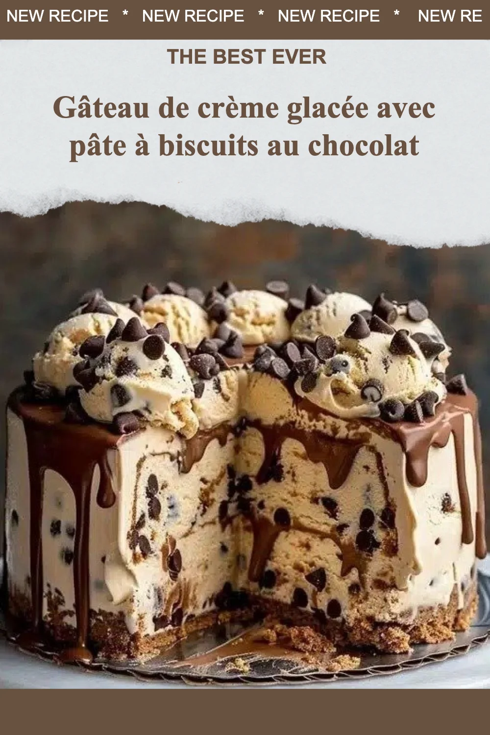 Gâteau de crème glacée avec pâte à biscuits au chocolat impeccable