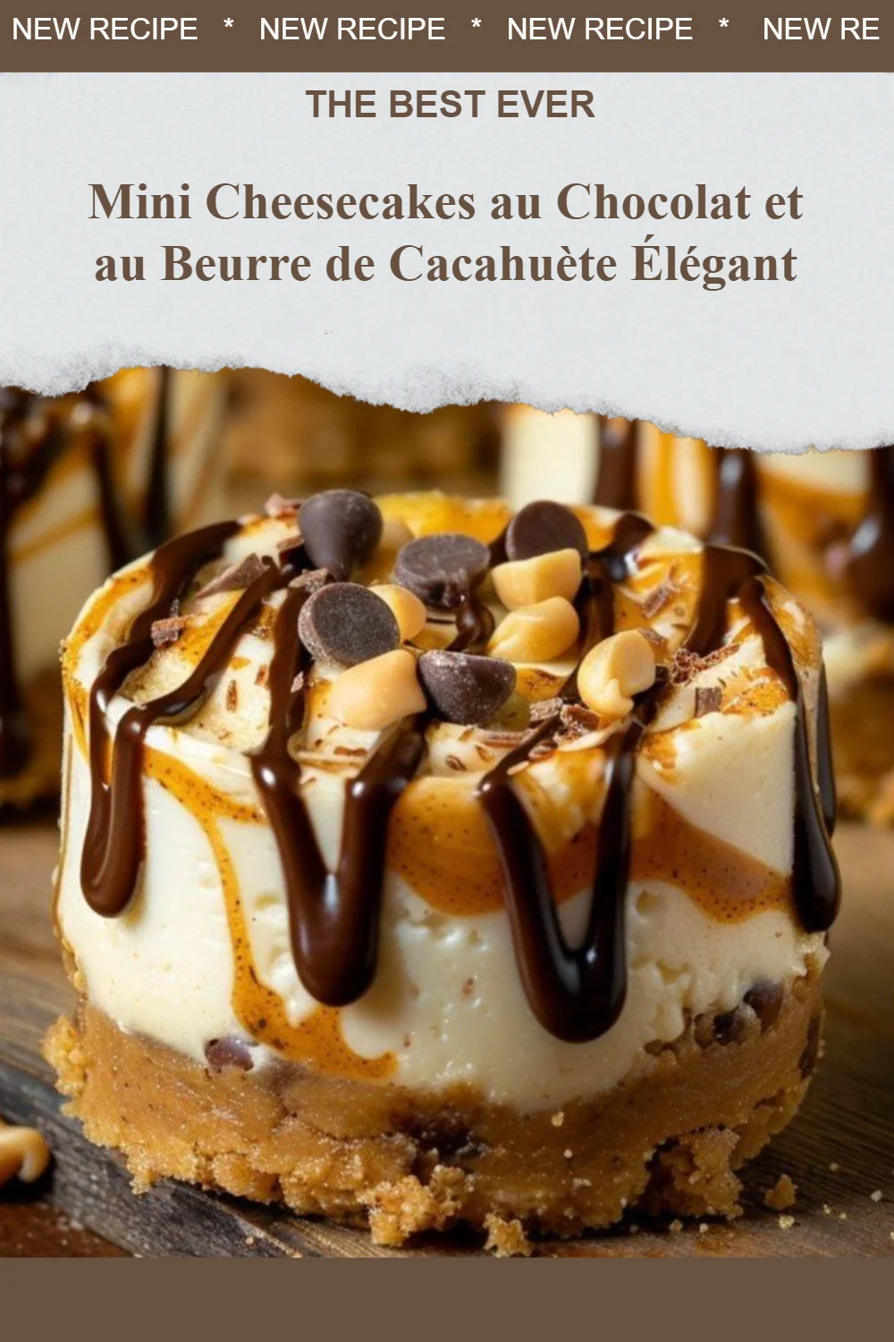 Mini cheesecakes au chocolat et au beurre de cacahuète élégants et délicieux