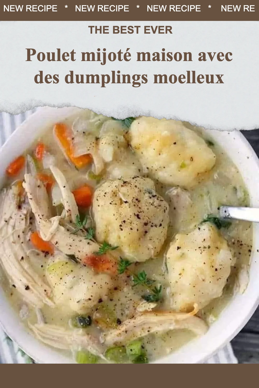 Poulet mijoté maison avec des dumplings moelleux dans un plat appétissant