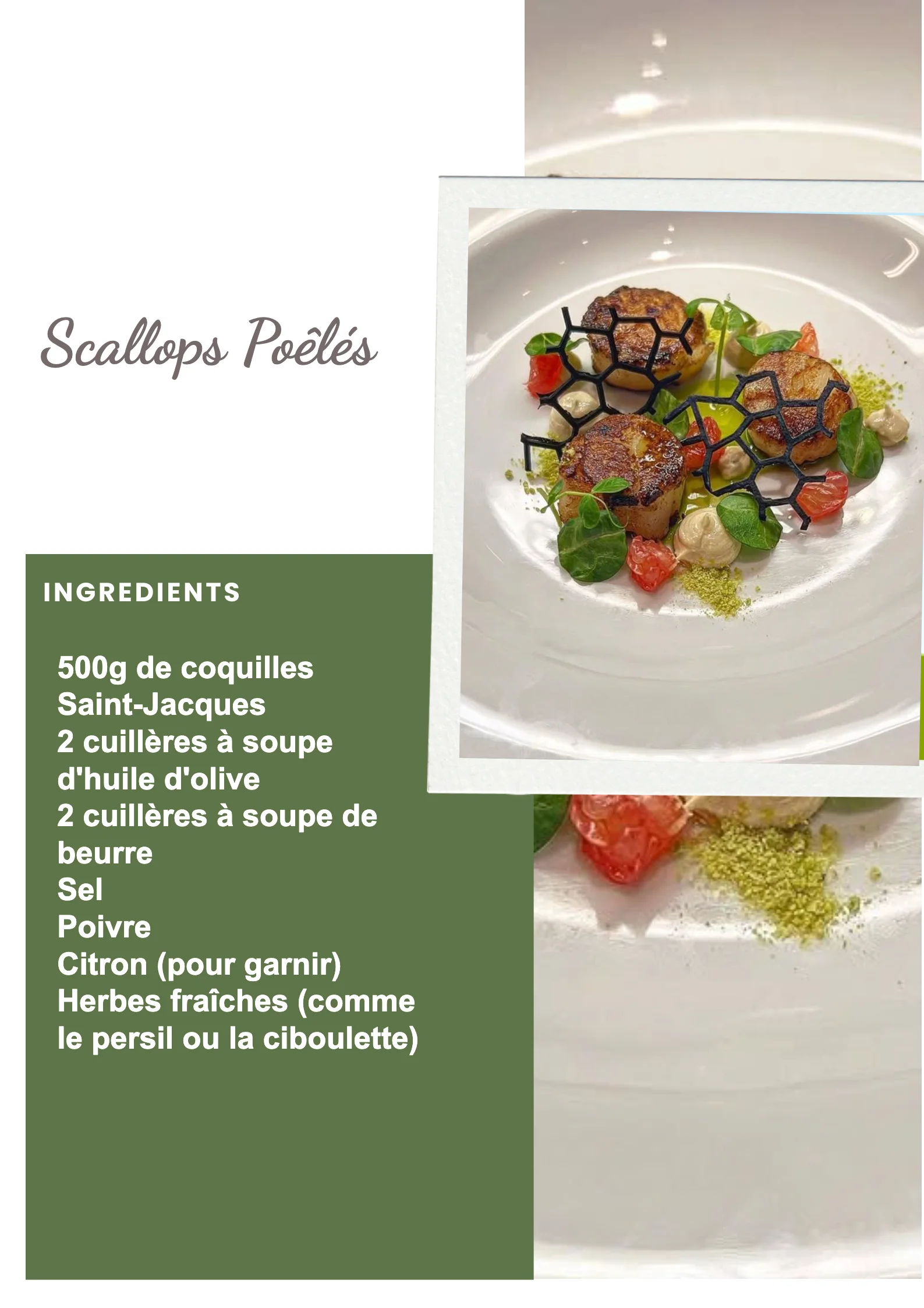 Scallops Poêlés garnis avec une sauce délicieuse et des herbes fraîches