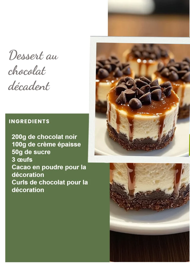 Dessert au chocolat décadent, riche et gourmand