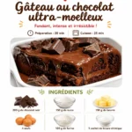 Gâteau Glacé Aux Pépites De Chocolat