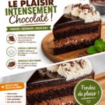 Gâteau Tuxedo au Chocolat