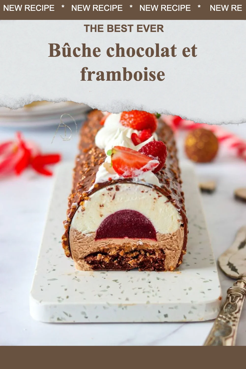Bûche au chocolat et framboise, un dessert décoratif et gourmand.