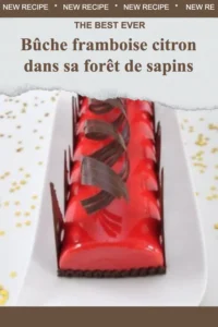 Bûche framboise citron décorée avec des sapins, dessert festif et coloré